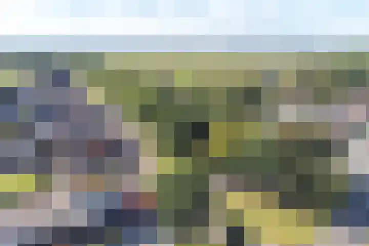 Tramwijk NZ 52 Nieuw-Weerdinge thumbnail 101