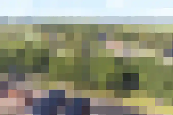 Tramwijk NZ 52 Nieuw-Weerdinge thumbnail 102