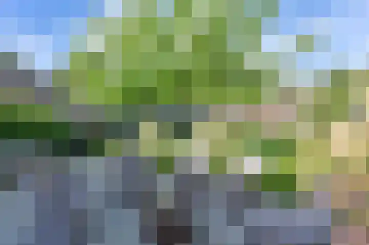 Tramwijk NZ 52 Nieuw-Weerdinge thumbnail 64