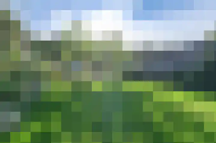 Tramwijk NZ 52 Nieuw-Weerdinge thumbnail 71