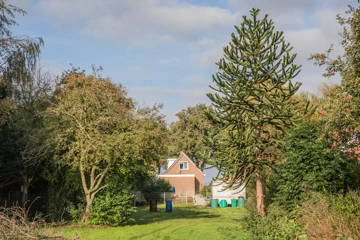 Tramwijk ZZ 127 Nieuw-Weerdinge thumbnail 37
