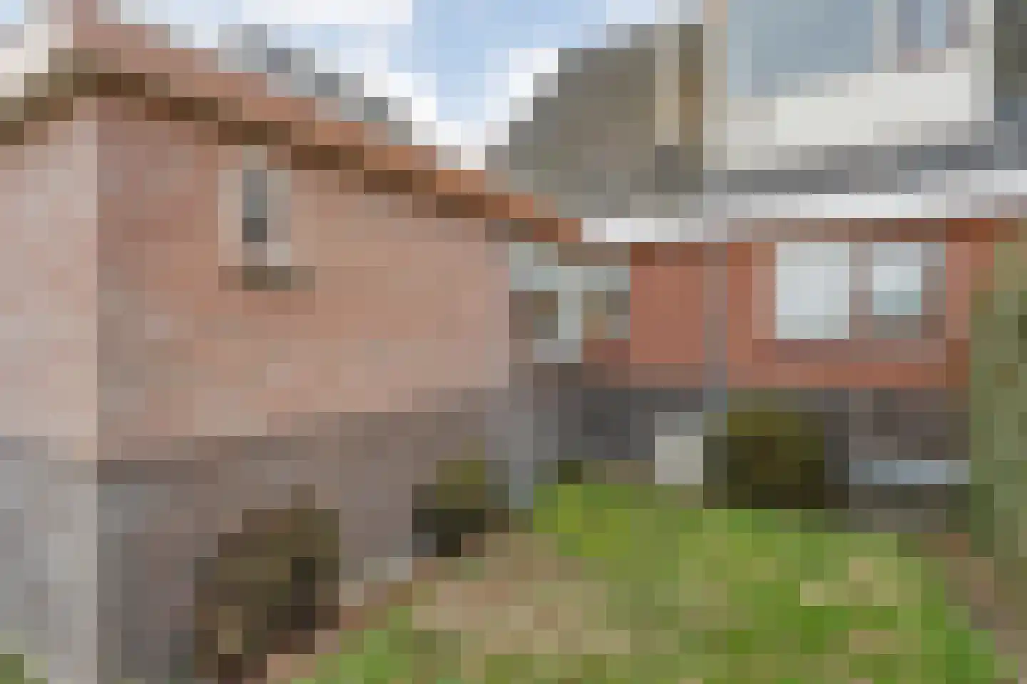 Tramwijk ZZ 158 Nieuw-Weerdinge thumbnail 46
