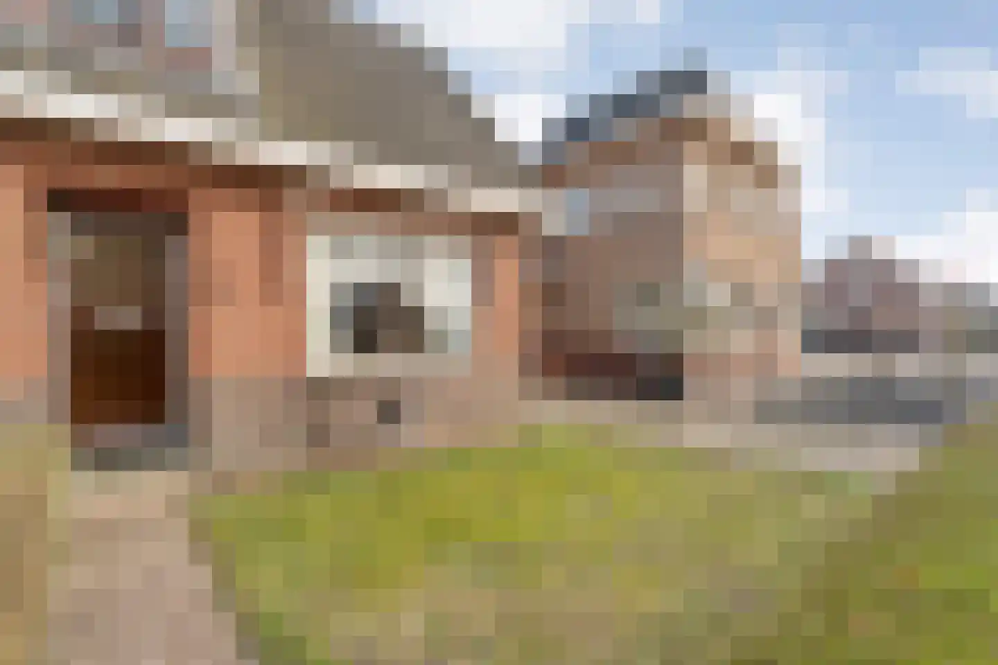 Tramwijk ZZ 158 Nieuw-Weerdinge thumbnail 7