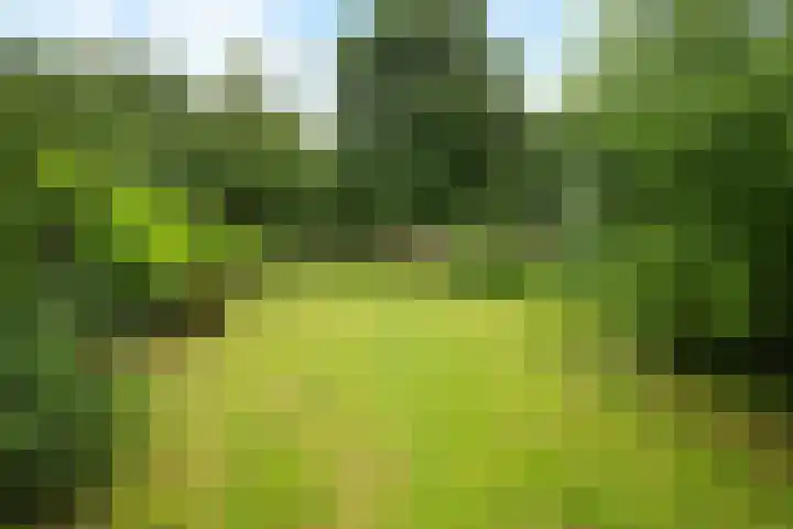Tramwijk ZZ 55 Nieuw-Weerdinge thumbnail 37