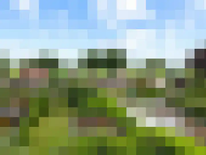 Tramwijk ZZ 55 Nieuw-Weerdinge thumbnail 4