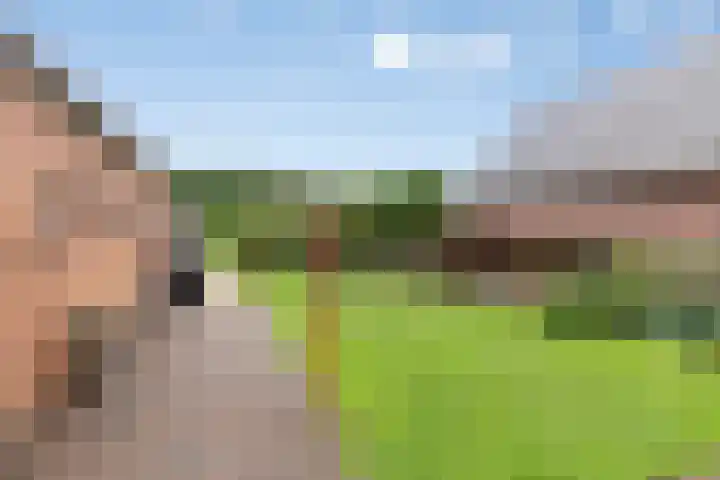 Tramwijk ZZ 57 Nieuw-Weerdinge thumbnail 34