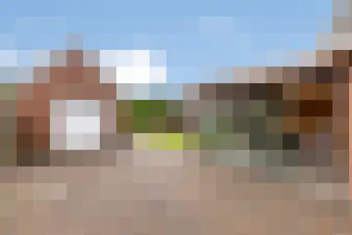 Tramwijk ZZ 57 Nieuw-Weerdinge thumbnail 36