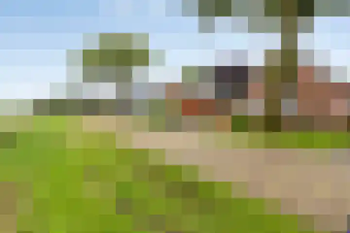 Tramwijk ZZ 57 Nieuw-Weerdinge thumbnail 4