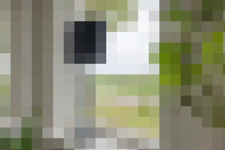 Tramwijk ZZ 59 Nieuw-Weerdinge thumbnail 10