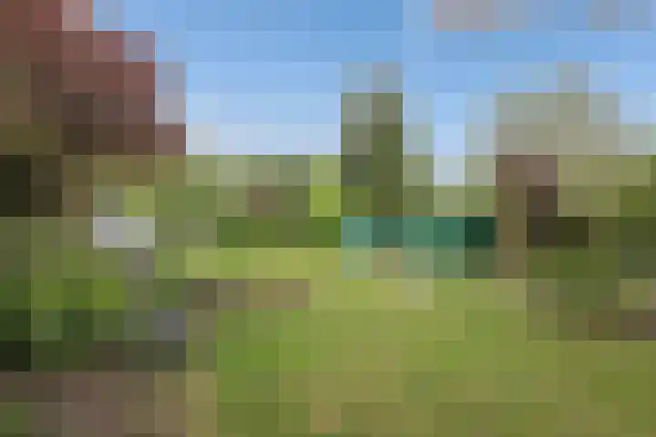 Tramwijk ZZ 59 Nieuw-Weerdinge thumbnail 34