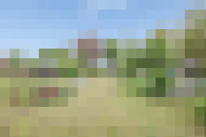 Tramwijk ZZ 59 Nieuw-Weerdinge thumbnail 38