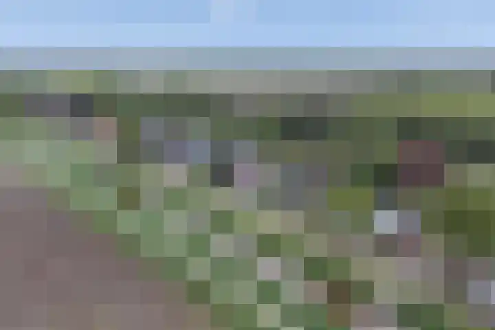 Tramwijk ZZ 59 Nieuw-Weerdinge thumbnail 41