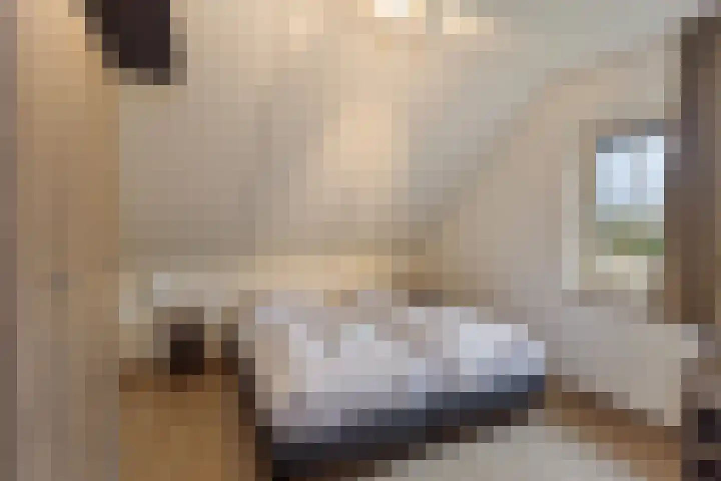 Trancheeweg 7 522 Weert thumbnail 33