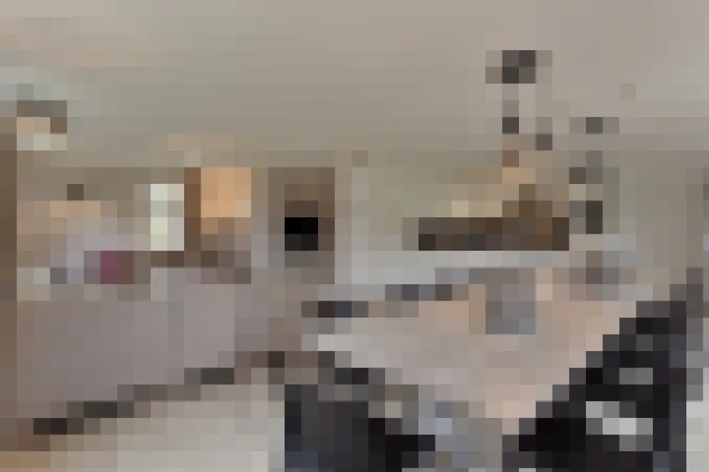 Trancheeweg 7 T 2 Weert thumbnail 13