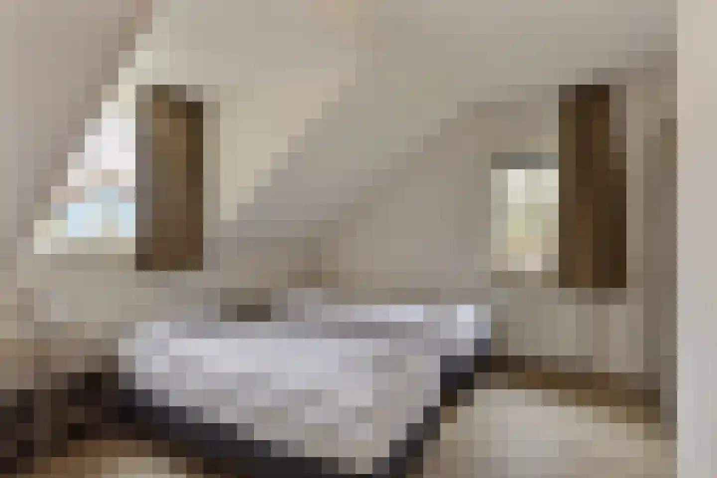 Trancheeweg 7 T 2 Weert thumbnail 28