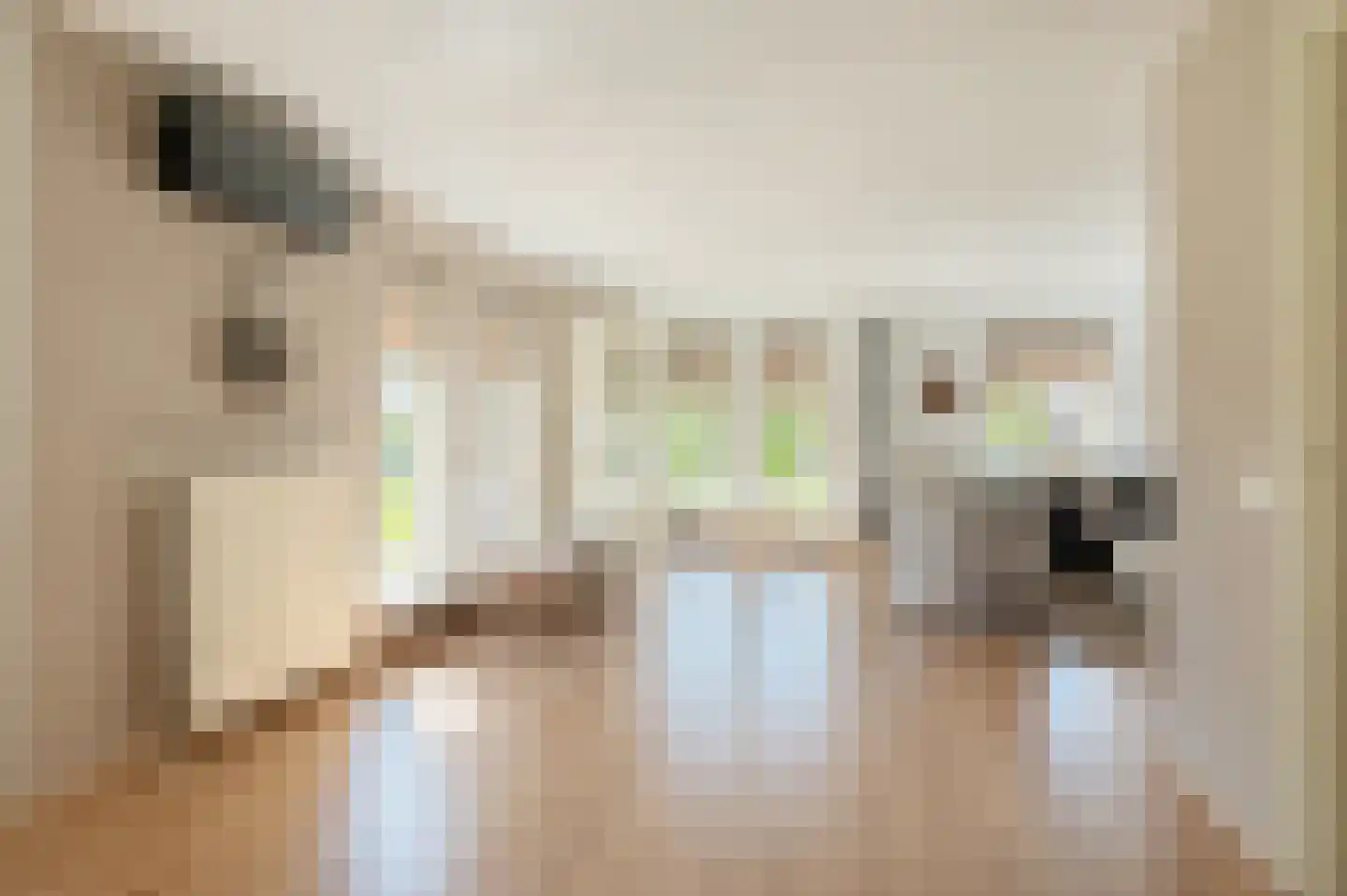 Tranendallaan 2 D Westerlee thumbnail 19