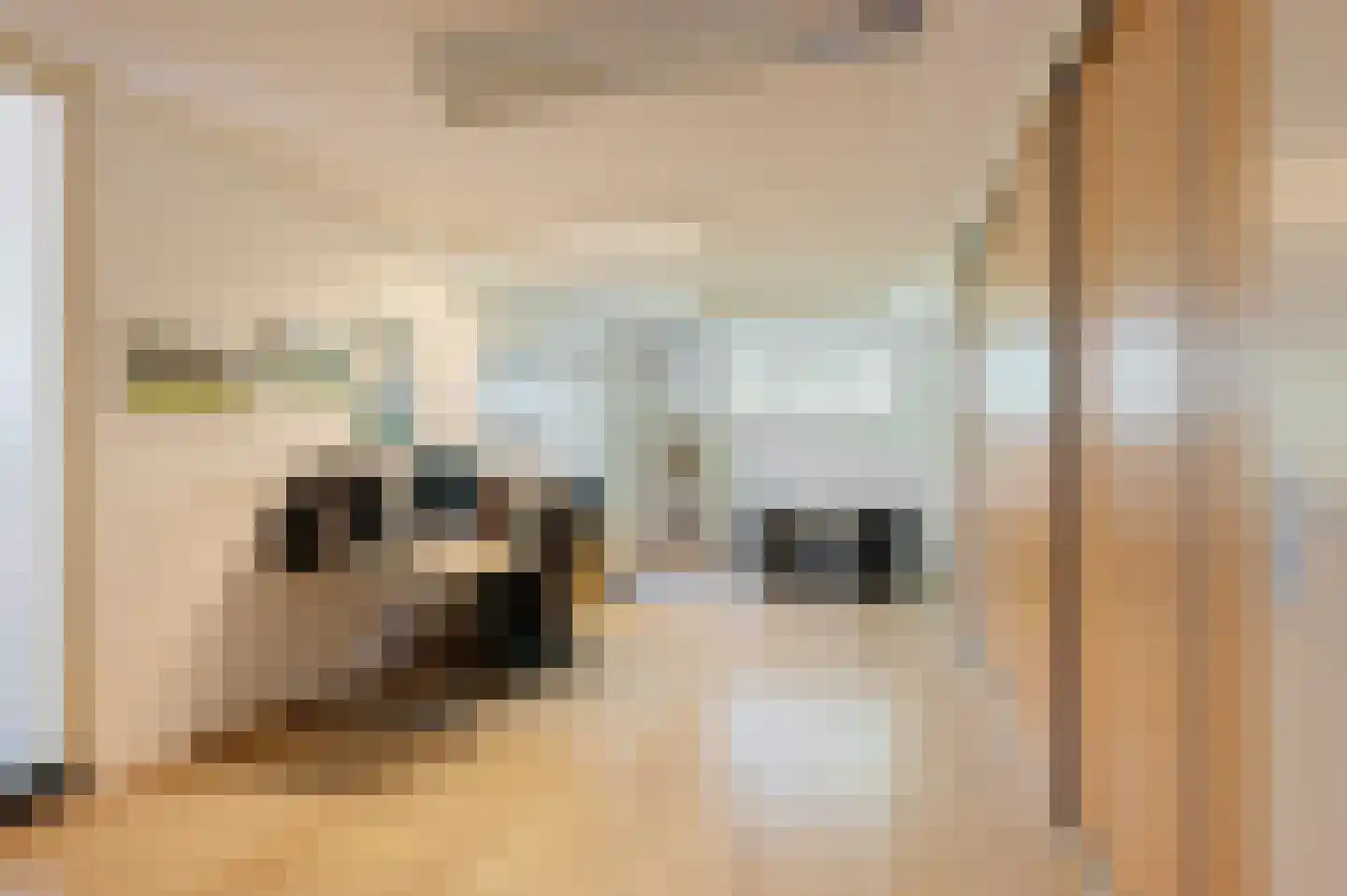 Tranendallaan 2 D Westerlee thumbnail 29