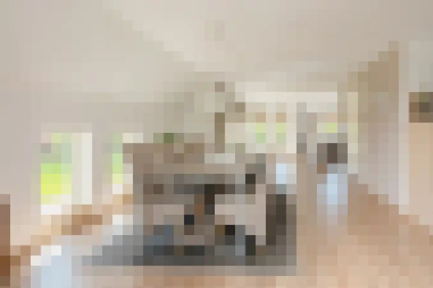 Tranendallaan 2 D Westerlee thumbnail 34