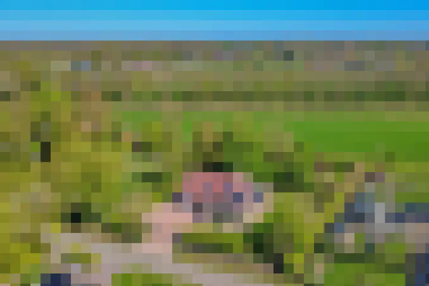 Tranendallaan 2 D Westerlee thumbnail 82