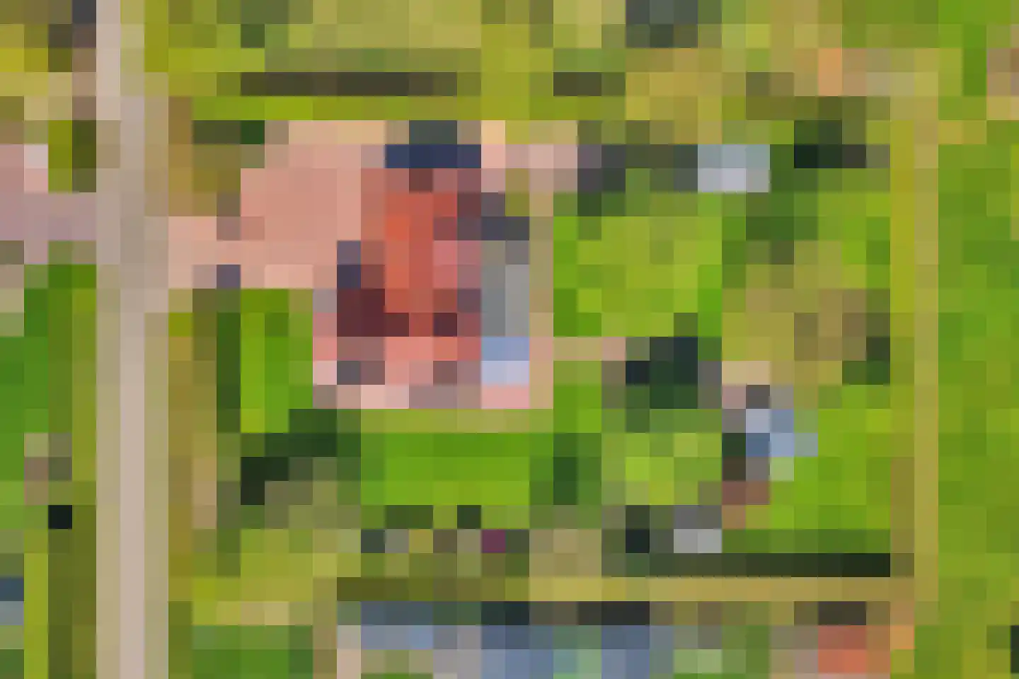 Tranendallaan 2 D Westerlee thumbnail 83