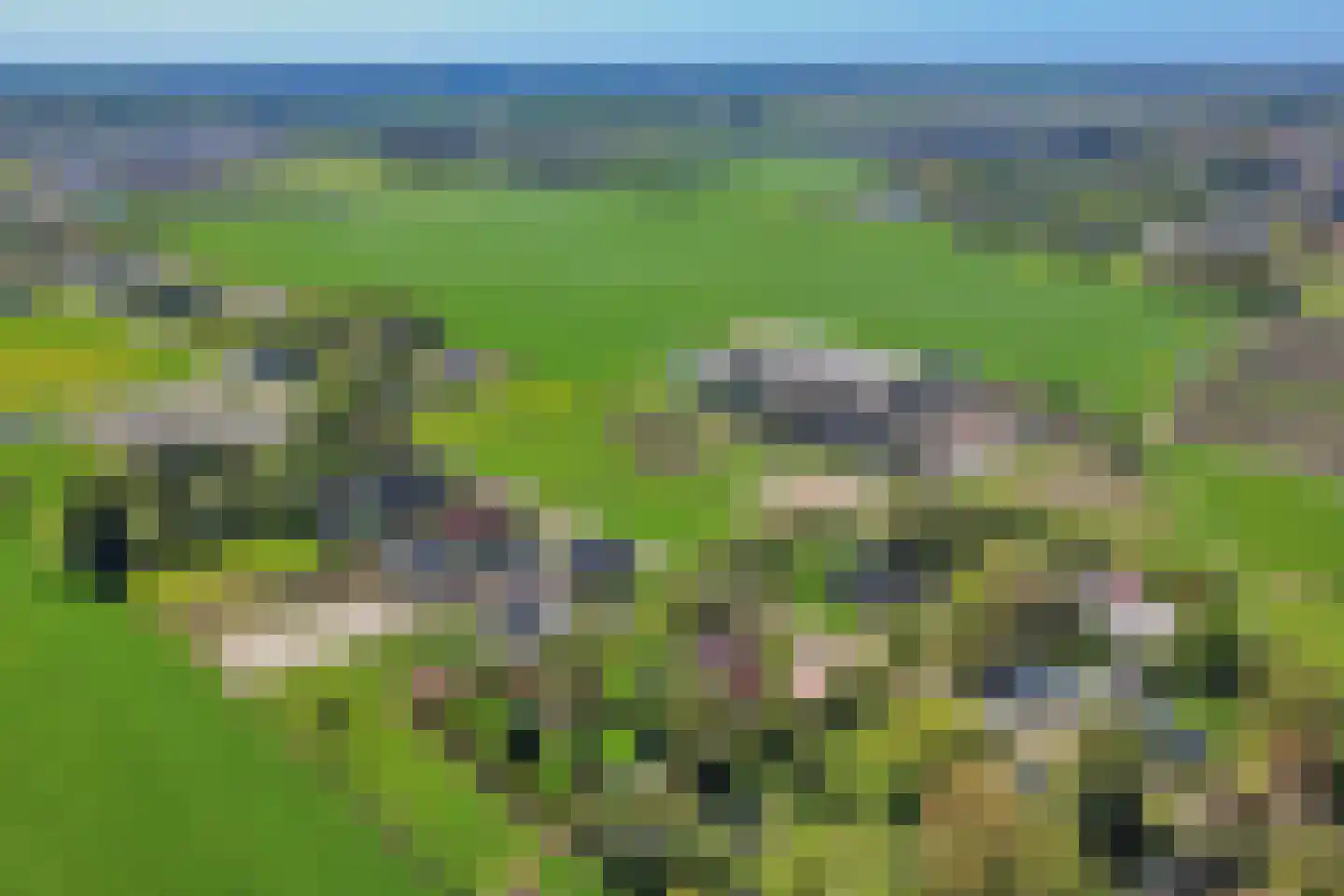 Tranendallaan 2 D Westerlee thumbnail 85