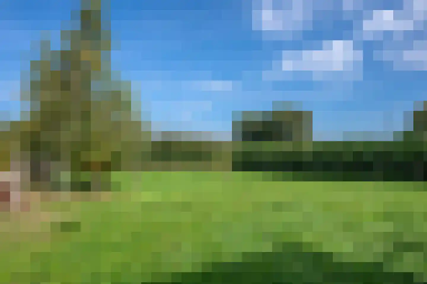 Tranendallaan 7 Westerlee thumbnail 62