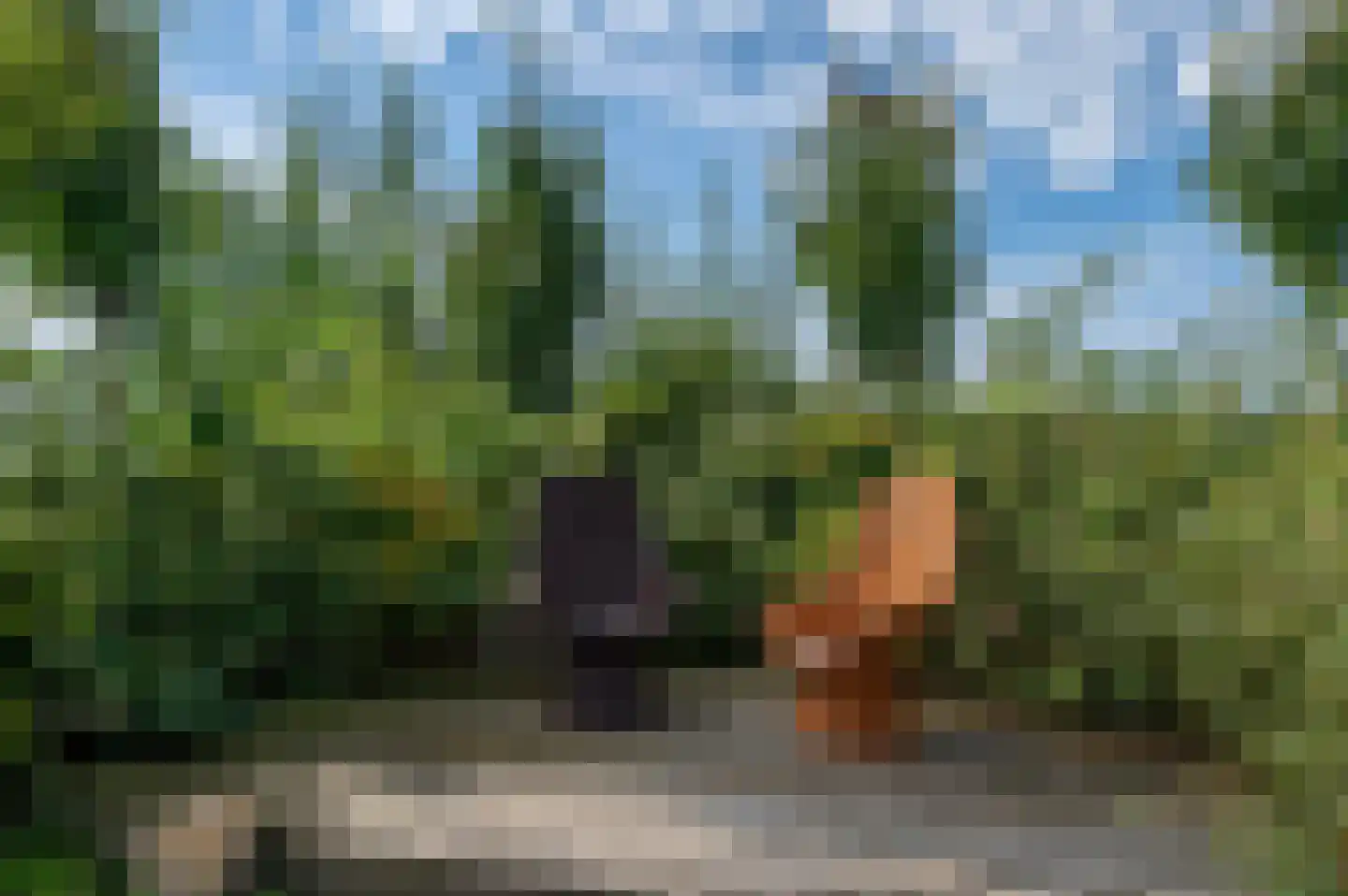 Tranendallaan 7 Westerlee thumbnail 72