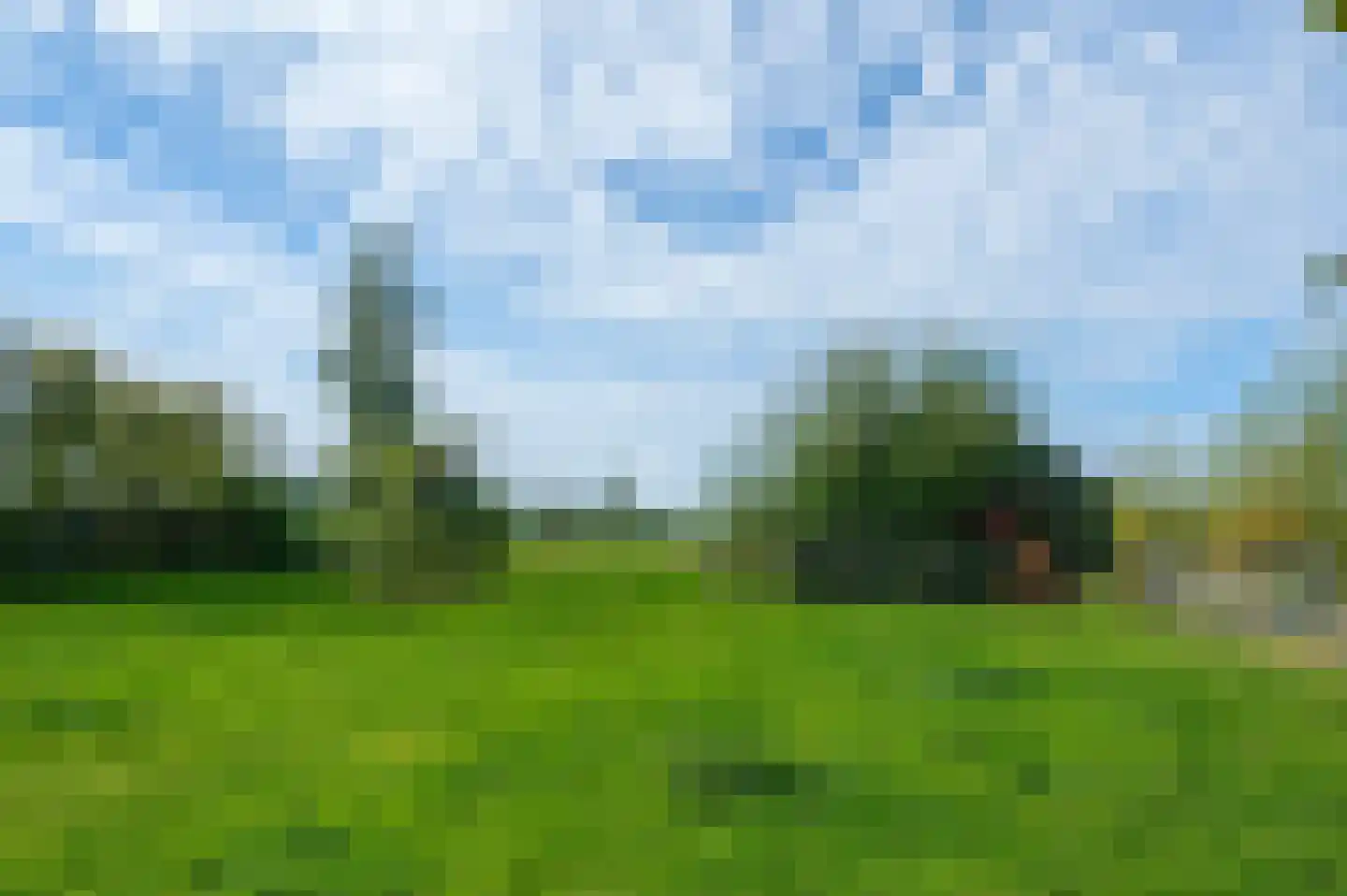 Tranendallaan 7 Westerlee thumbnail 74