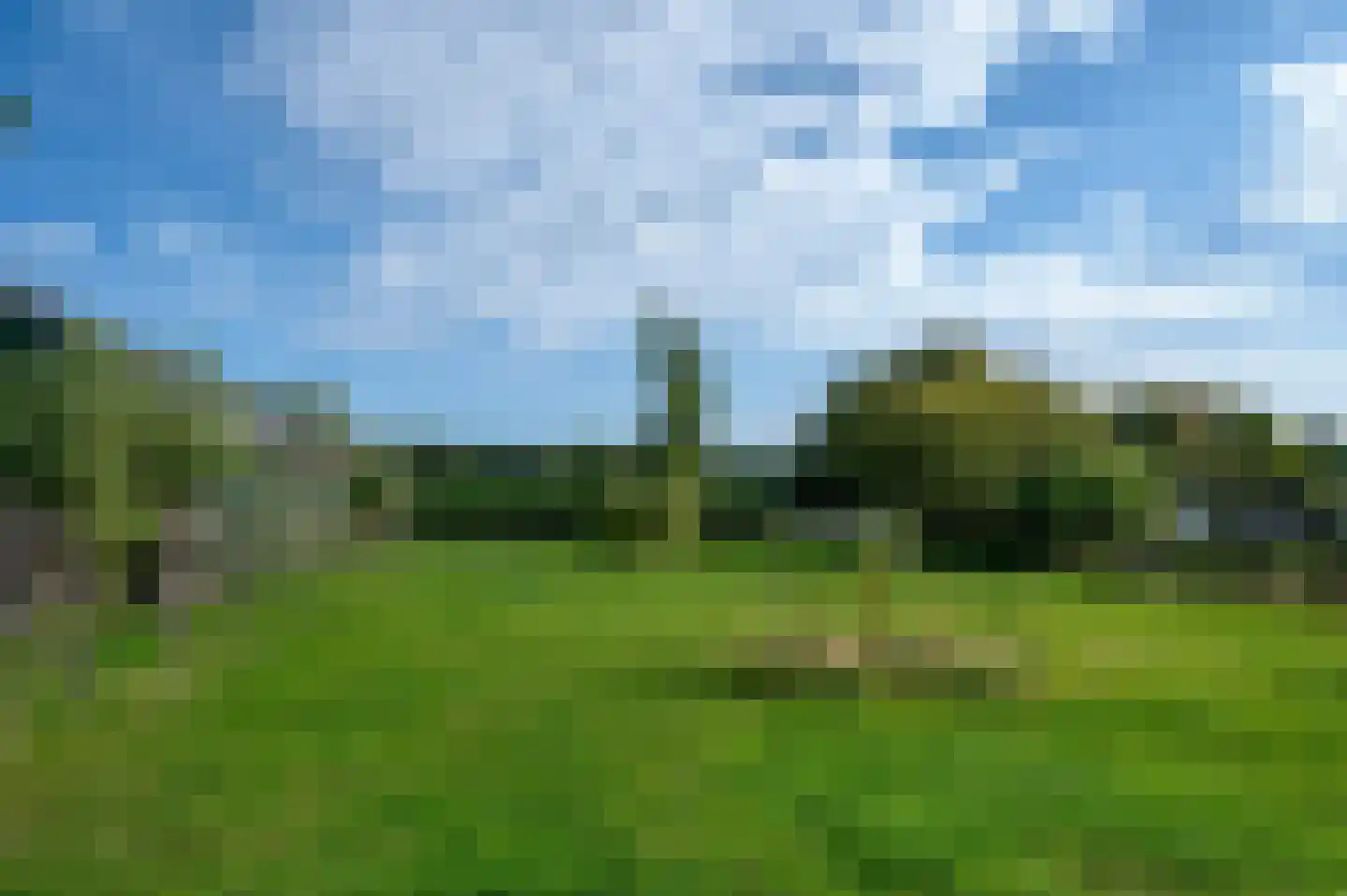 Tranendallaan 7 Westerlee thumbnail 76
