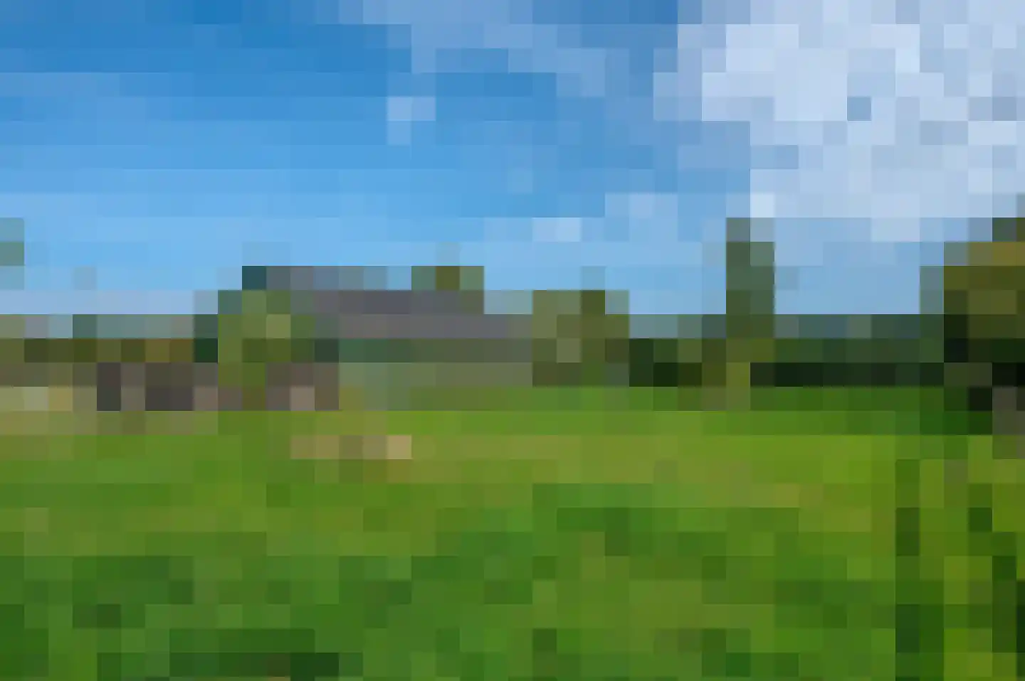 Tranendallaan 7 Westerlee thumbnail 77