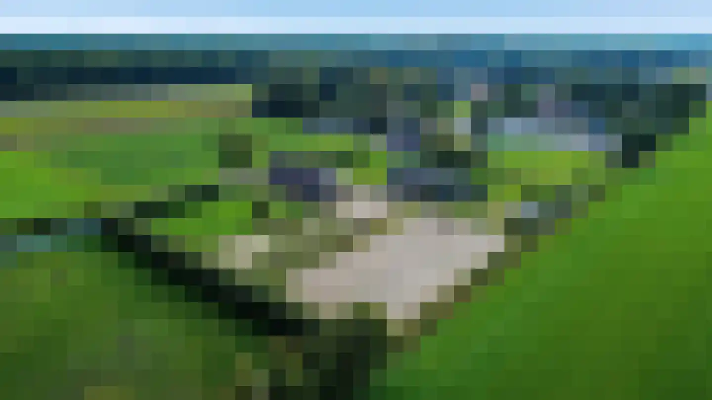 Tranendallaan 7 Westerlee thumbnail 8