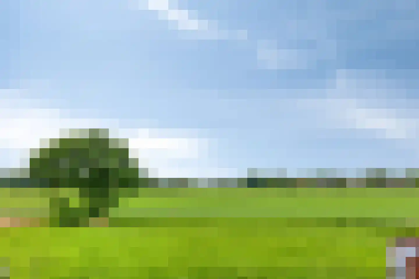 Tranendallaan 9 Westerlee thumbnail 33