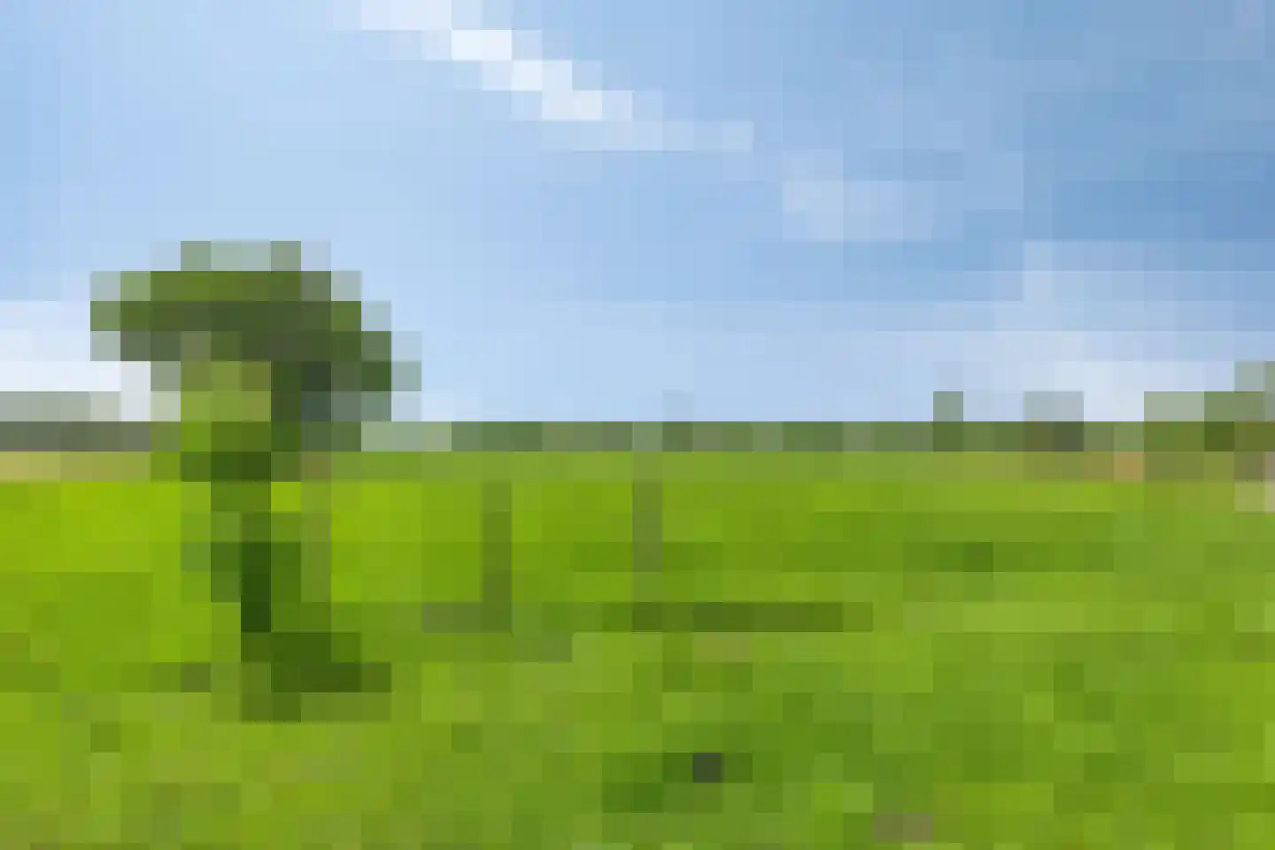 Tranendallaan 9 Westerlee thumbnail 34