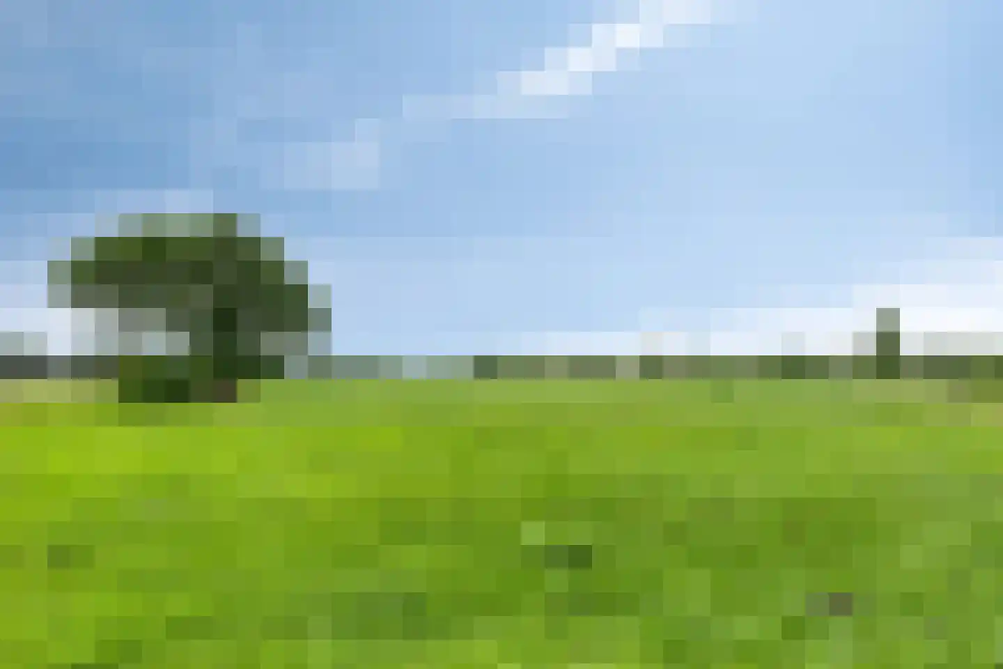 Tranendallaan 9 Westerlee thumbnail 35
