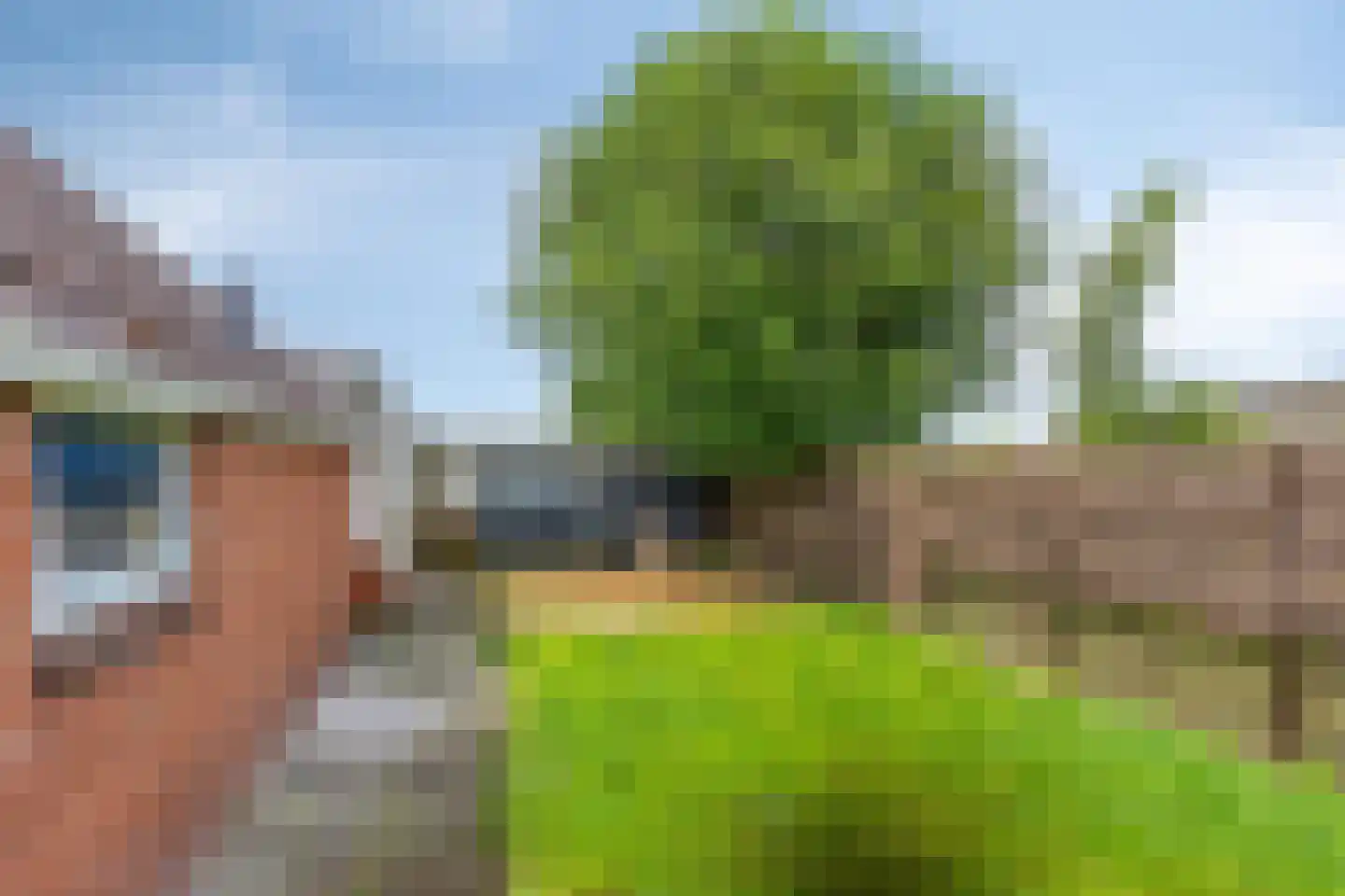 Tranendallaan 9 Westerlee thumbnail 38