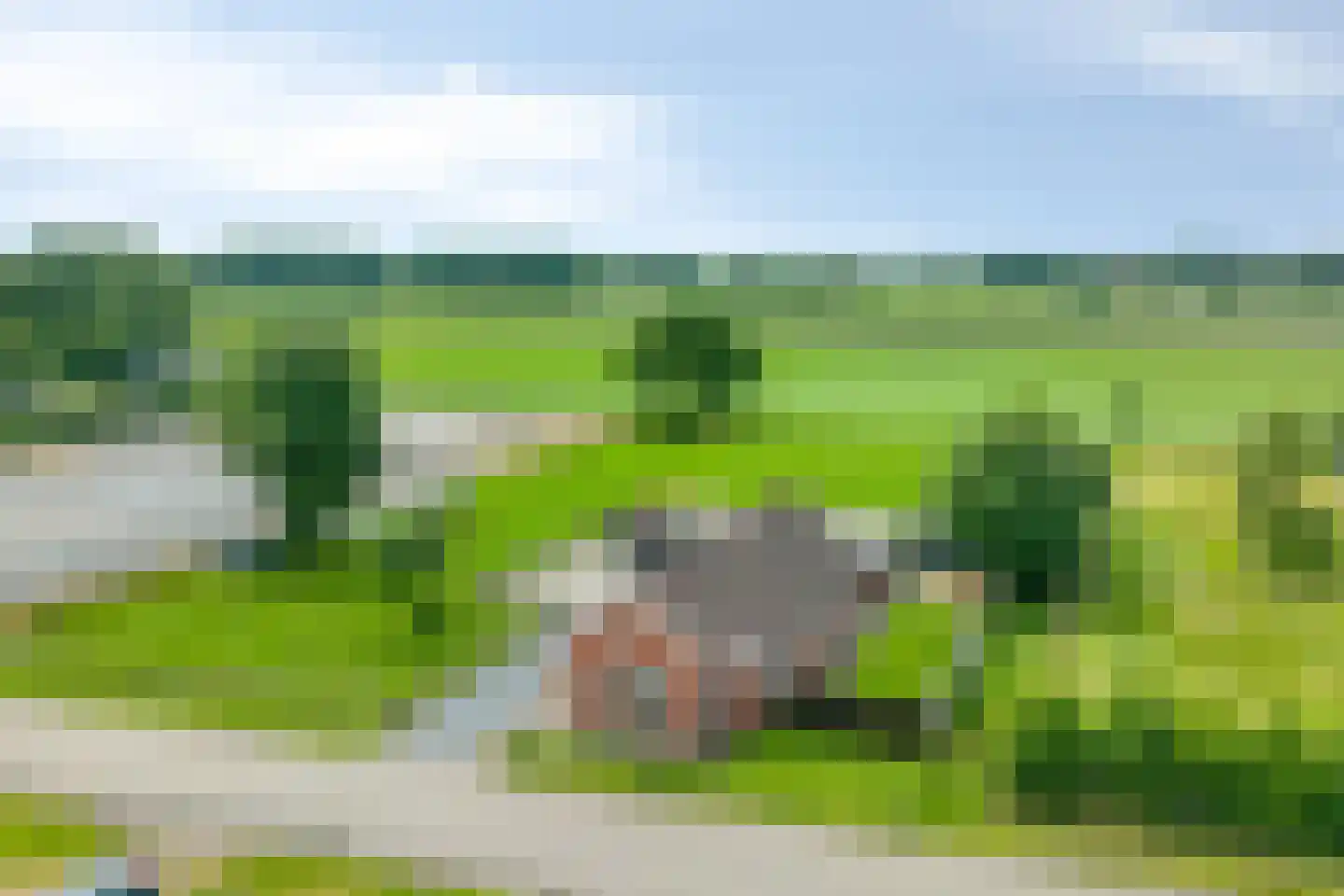 Tranendallaan 9 Westerlee thumbnail 40