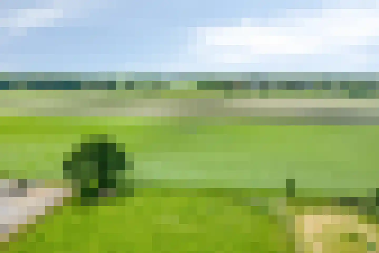 Tranendallaan 9 Westerlee thumbnail 42