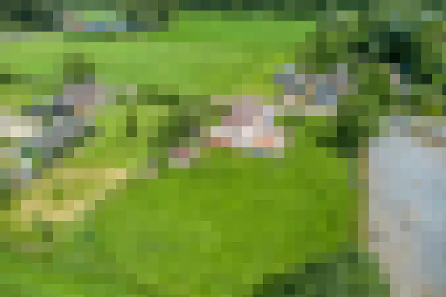 Tranendallaan 9 Westerlee thumbnail 44