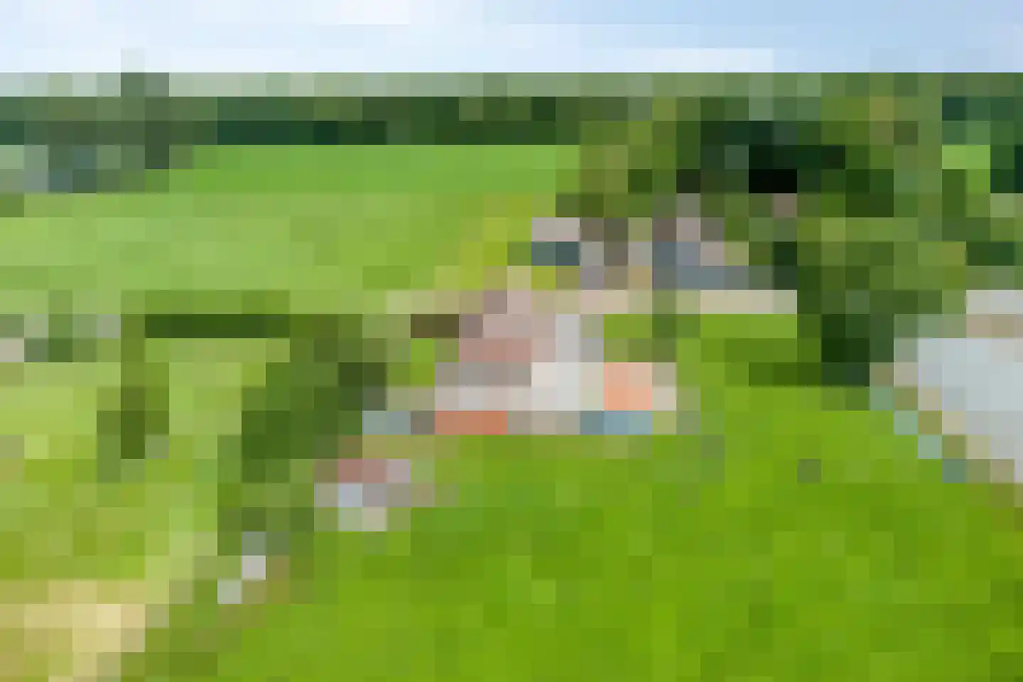 Tranendallaan 9 Westerlee thumbnail 45