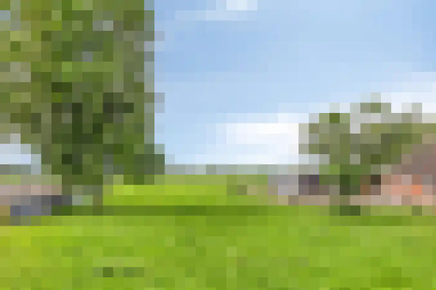 Tranendallaan 9 Westerlee thumbnail 7