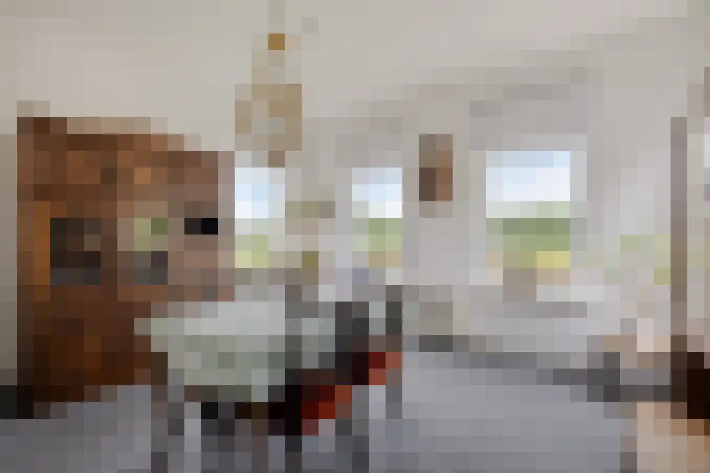 Tranendallaan 9 Westerlee thumbnail 9