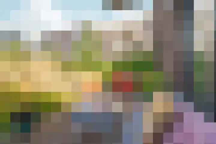 Trans 26 Arnhem foto 2