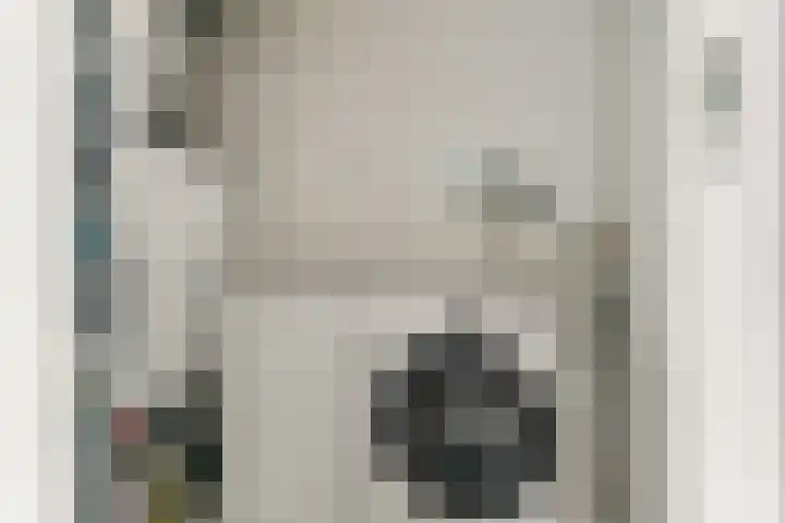 Trans 26 Arnhem thumbnail 20