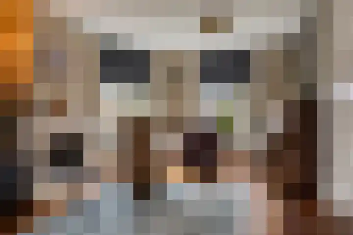 Trans 26 Arnhem thumbnail 29