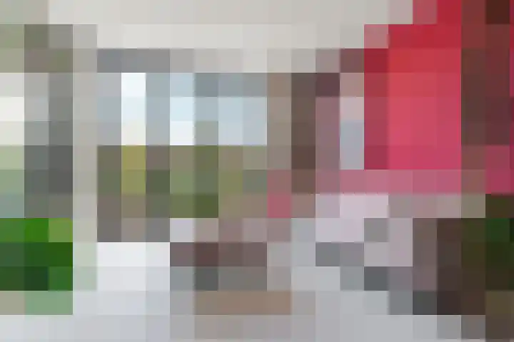 Trans 26 Arnhem thumbnail 5