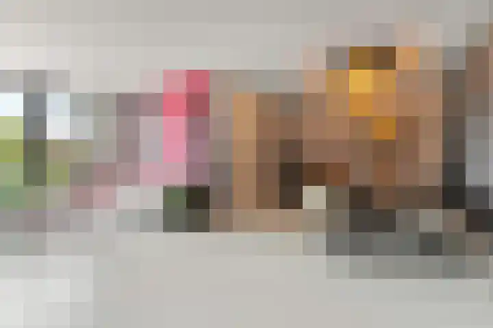 Trans 26 Arnhem thumbnail 7