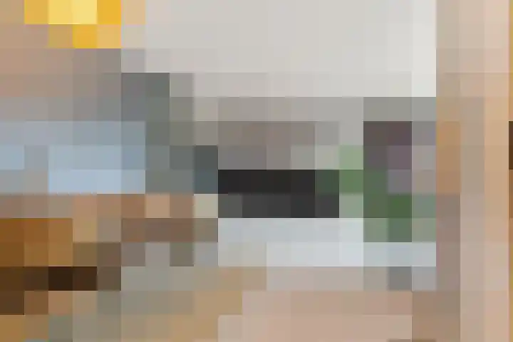 Trans 26 Arnhem thumbnail 9