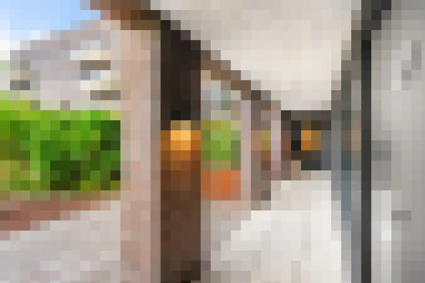 Trans 27 Arnhem thumbnail 18
