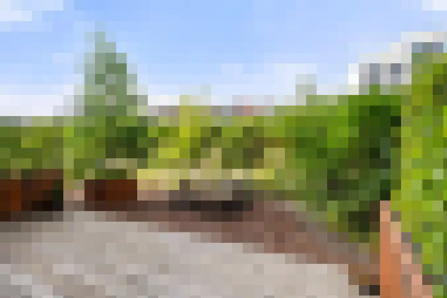 Trans 27 Arnhem thumbnail 19