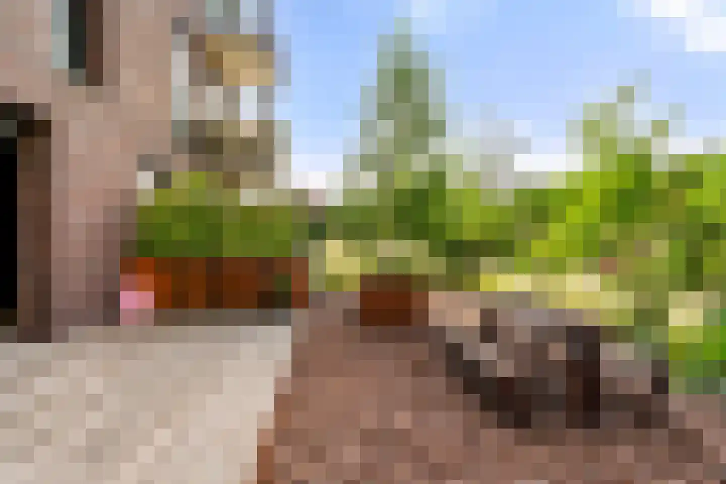 Trans 27 Arnhem thumbnail 20